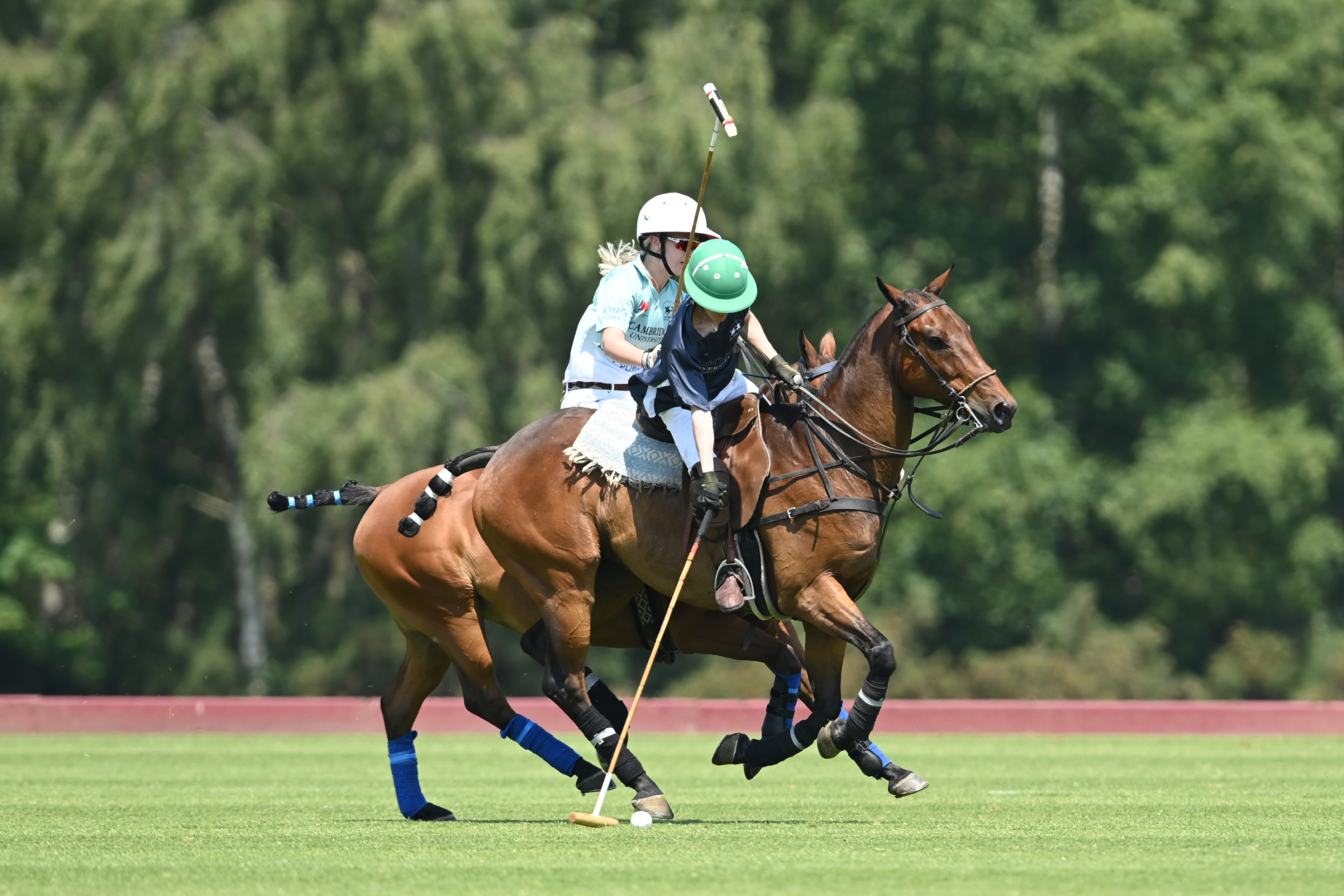 La Martina Varsity Polo (Season 2024)